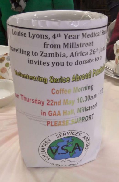 6Louise's Fundraiser for African Project 2014 -800
