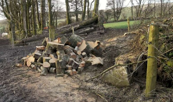 Hurricane Darwin which Ireland experienced in early 2014 resulted in at least one very positive outcome here in Millstreet in that the enormous amount of fallen trees inspired two wonderfully community-spirited gentlemen to use the enormous amount of wooden logs as prizes for a Fundraiser in aid of Cork's Marymount Hospice.  Below is a sample of the official ticket.   Already the two  very dedicated men have fundraised at both Cloghoula N.S. Pattern Day and Kilcorney Feis 2014.   The response has been great.   A Committee of some six people holds meetings on a regular basis to coordinate the inspiring project for this praiseworthy cause.   There is also a Millstreet Credit Union Account No. 3789T 