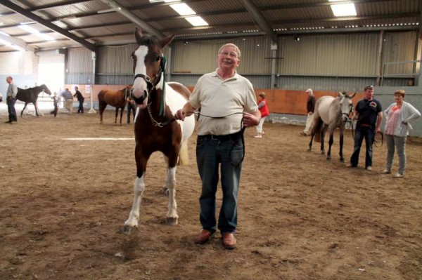 1Joe Roche's Horse Coomlogane Apache Wins at 2014 Show -800