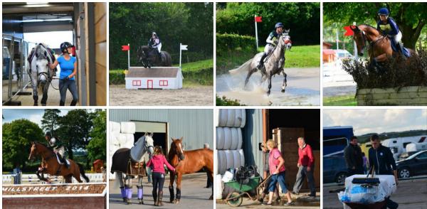 2014-08-12 Photos from Day 1 of Millstreet International Horse Show