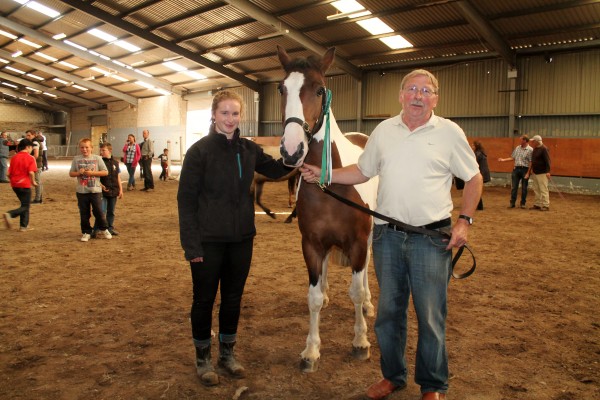 Joe Roche's "Coomlogane Apache" proved to be a very popular winner on Friday night at Millstreet International Show 2014.  Click on the images to enlarge.  (S.R.)