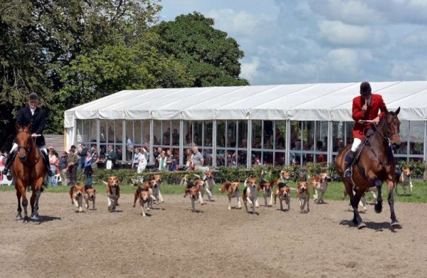 Photographer supreme, Geraldine Dennehy, truly captured some very special images as she so dedicatedly achieved excellent coverage of the prestigious equestrian event at Green Glens.  She recorded the visit of the Duhallow Hunt (above) as well as famous visitors such as John Tracey (below) and Seán Kelly.