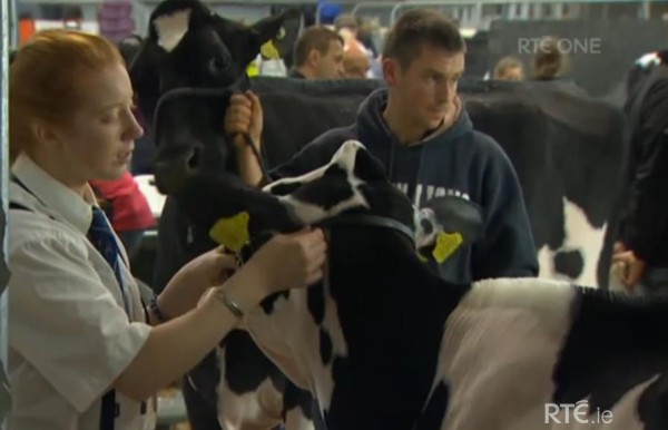 2014-11-27 Ear to the Ground - National Dairy Show 02