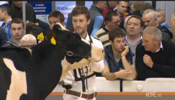 2014-11-27 Ear to the Ground - National Dairy Show 06