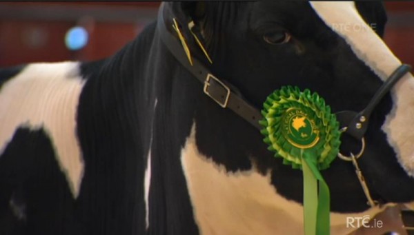 2014-11-27 Ear to the Ground - National Dairy Show 07