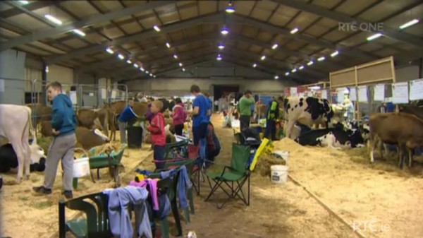 2014-11-27 Ear to the Ground - National Dairy Show 08