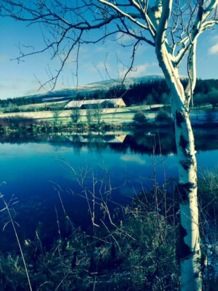 We thank Donie Howard for this atmospheric snow scene taken recently at Millstreet Country Park.  (S.R.)