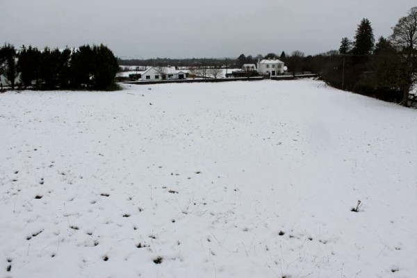 1Morning Snow in Millstreet 14 Jan. 2015 -800