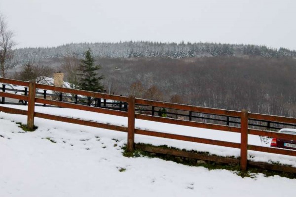 Before the rain arrived by noon today it was a truly case of snow all over Millstreet as we note here having been captured in the Mount Leader area.   Click on the images to enlarge.  (S.R.)