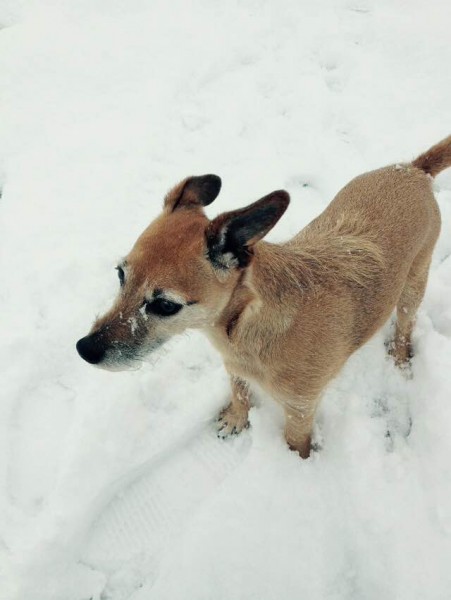 2015-03-03 Two lovely ladies looking for a good home 02