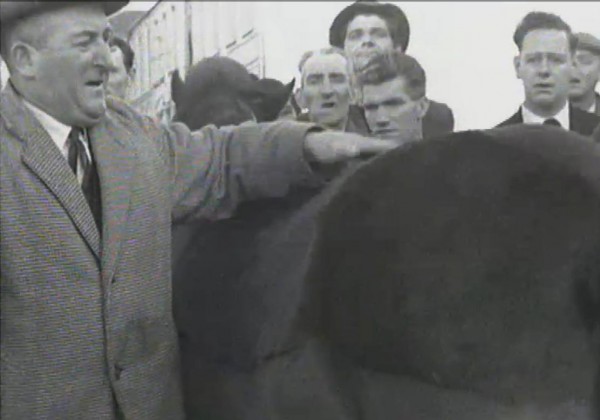 1965 March Horse Fair - an RTÉ Newsbeat report 03