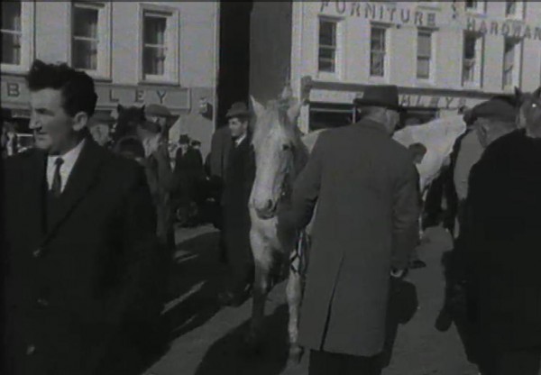 1965 March Horse Fair - an RTÉ Newsbeat report 07 - Buckleys Stores