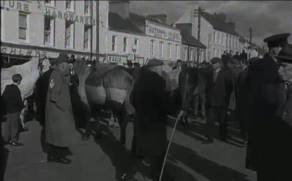 1965 March Horse Fair - an RTÉ Newsbeat report 09