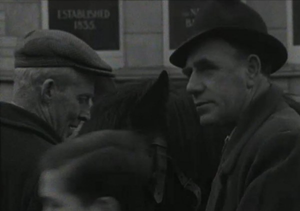 1965 March Horse Fair - an RTÉ Newsbeat report 13 - Established 1835