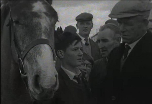 1965 March Horse Fair - an RTÉ Newsbeat report 20