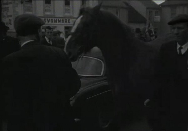 1965 March Horse Fair - an RTÉ Newsbeat report 21