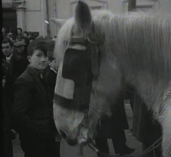 1965 Millstreet Horse Fair (00.22)
