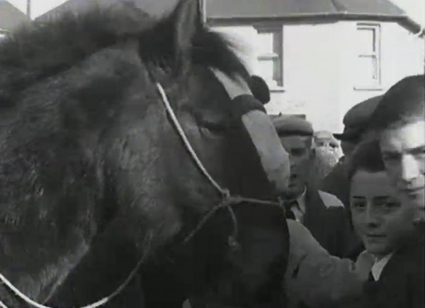 1965 Millstreet Horse Fair (00.35)