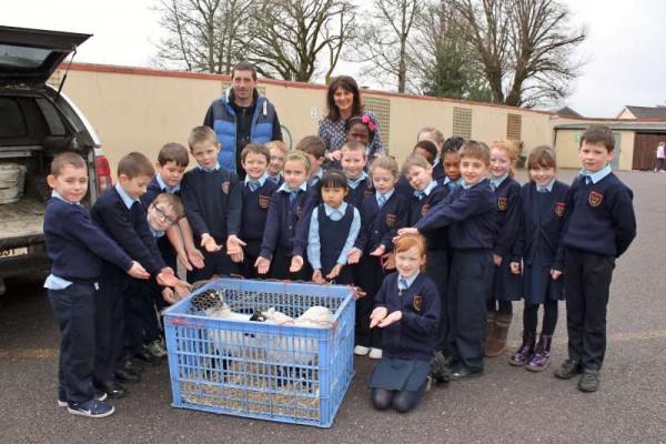 Teacher Siobhán O'Leary and her husband, John introducing the two visiting lambs to the children of Siobhán's First Class on Friday, 20th March 2015.  This annual visit by lambs from the Toorbonia area is always so enjoyed by the children who receive such a valuable insight into the care of the cute animals.  A day which is treasured in memory by  young people for generations to come.  Click on the images to enlarge.  (S.R.)