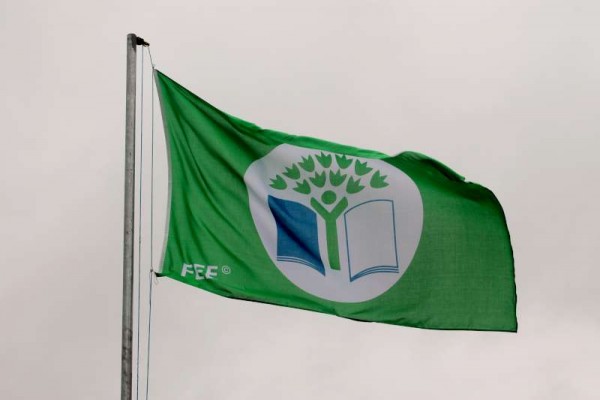 3Derrinagree N.S. Second Green Flag 17 June 2015 -800