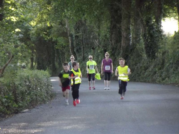 We thank Alanna of Coolefield House for these images of Friday evening's Willie Neenan Memorial Run/Walk as participants progressed aroung the Glebe Run.  We're presently preparing a further full feature of the superbly successful event.  Click on the images to enlarge.  (S.R.)