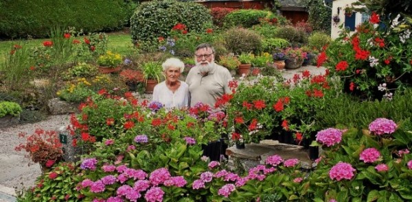 Sincere congratulations to our wonderful Breton Friends from Pommerit le Vicomte - Josiane & Yves Allain - whose truly superb garden has recently come first in a very prestigious garden competition.  I had the privilege of staying in the splendidly welcoming home of Josiane and Yves when our Twinning Group paid an official visit to Brittany some four years ago.   Jardin magnifique!  Click on the image to enlarge.  (S.R.)