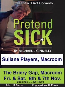 2015-11 Briery Gap - Pretend Sick - poster