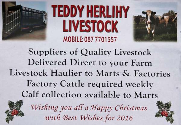 We thank Teddy for very kindly supporting our website permitting us to defray ongoing costs.  Click on the impressive festive greeting Poster to enlarge.  (S.R.)