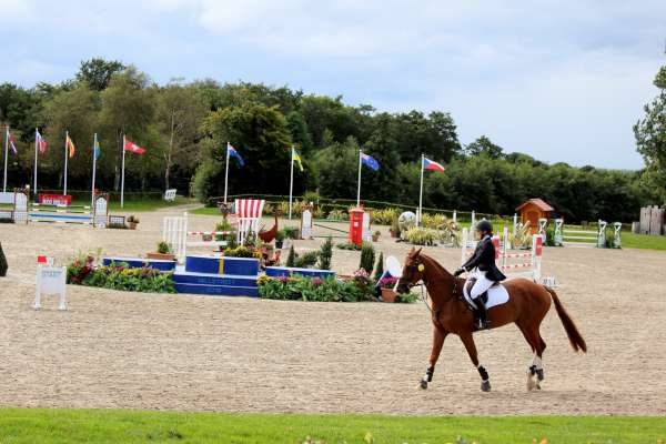 23International Horse Trials at Green Glens 25th Aug. 2016 -600